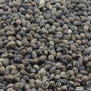 鸦胆子 产地直销 好货图2