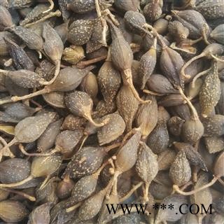 连翘 青翘水煮（汽蒸）统货 产地 山西省图2