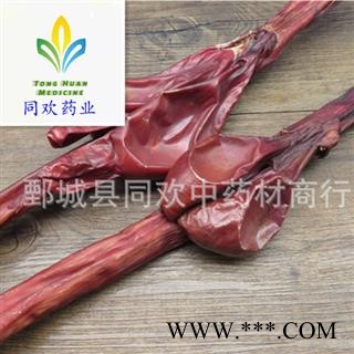 【中条牛鞭】@【同欢药材】中药材批发供应 规格齐全 量大从优  产地 内蒙古自治区图1
