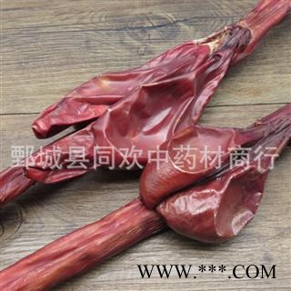 【中条牛鞭】@【同欢药材】中药材批发供应 规格齐全 量大从优  产地 内蒙古自治区图3