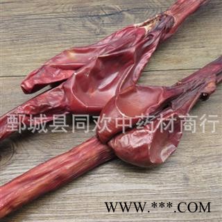 【中条牛鞭】@【同欢药材】中药材批发供应 规格齐全 量大从优  产地 内蒙古自治区图2