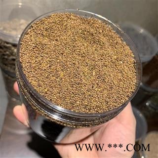 菟丝子 菟丝子水洗选货 产地 甘肃省图3
