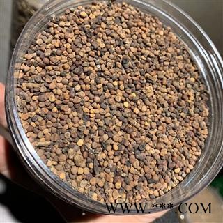 大菟丝子 大菟丝子统货 产地 四川省图3