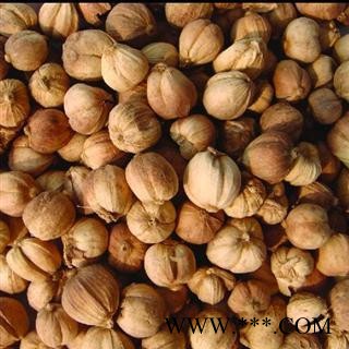 白豆蔻 统 产地 广东省图2