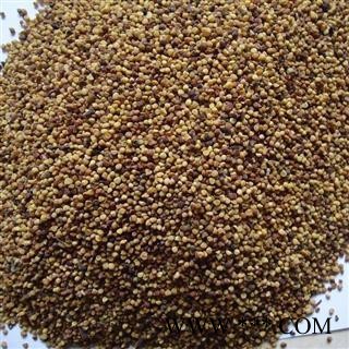 菟丝子 统 产地 宁夏回族自治区图2