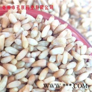 批发柏子仁批发中药材