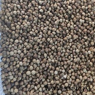 苏子 统 产地 山东省图2