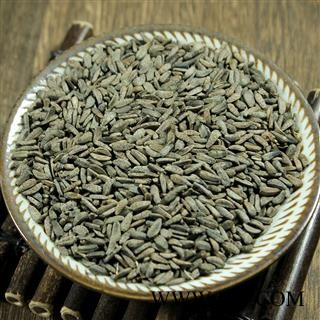 四川 牛蒡子 选货1公斤起批 大力子 产地直供图4