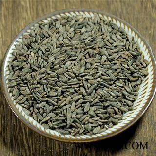 四川 牛蒡子 选货1公斤起批 大力子 产地直供图3