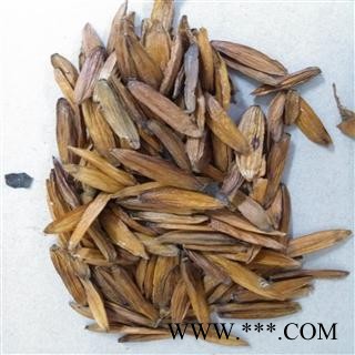 统喜树果 产地广西壮族自治区百色市市辖区  库存50公斤 可售图3