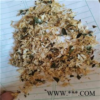 菊花 碎 产地 河北省图3