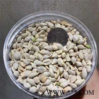 橘核 红橘核统货 产地 浙江省图2