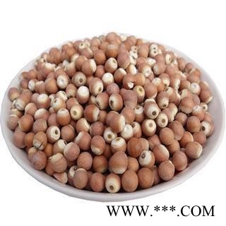 芡实 统，产地直销 重在质量 产地 广东省图2