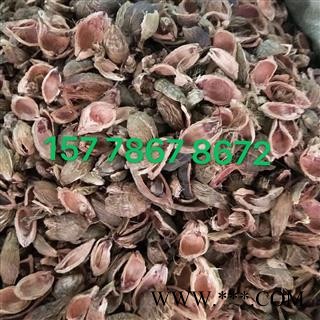 大腹皮 一斤起发货包邮图2