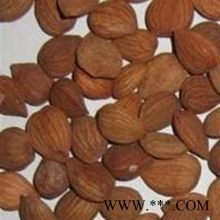 苦杏仁 统 产地 甘肃省图2