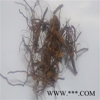 茅莓 统 产地 广西壮族自治区桂林市市辖区图3