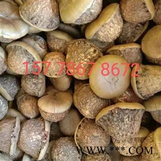 风流果 一斤起发货包邮图4