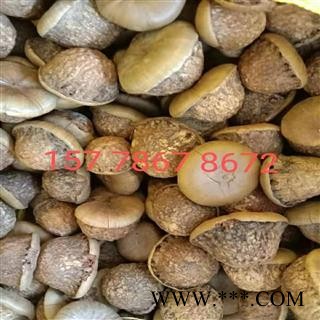 风流果 一斤起发货包邮图2