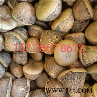 风流果 一斤起发货包邮图3