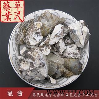 草民甄选青龙齿块 五花龙齿 正品龙齿 实物如图 专业批发量大从优图4