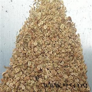 蛇床子 蛇床子  产地 江苏省