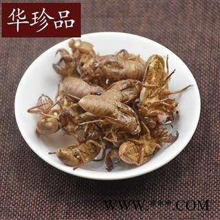 蝉蜕 01 金蝉蜕  统 产地 山东省图2