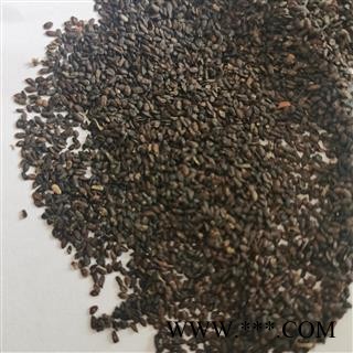 车前子 江西车前子  正品车前子 产地直供图4