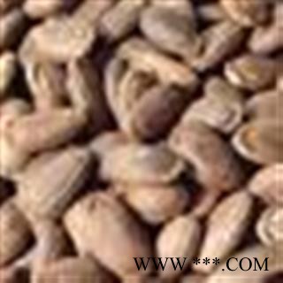 瓜蒌仁 统 产地 山东省图2