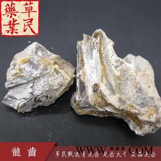 草民甄选青龙齿 龙齿大个 正品龙齿 实物如图 专业批发量大从优图4