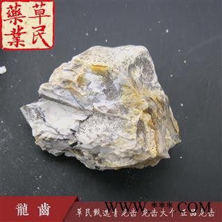 草民甄选青龙齿 龙齿大个 正品龙齿 实物如图 专业批发量大从优图2