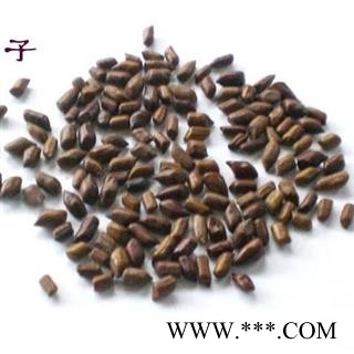 草决明 1000克 决明子图2