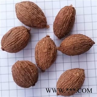 A进口砂仁 进口壳砂仁统货 产地 云南省