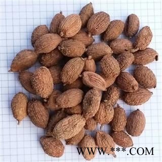 A进口砂仁 进口壳砂仁统货 产地 云南省图3