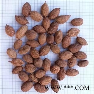 A进口砂仁 进口壳砂仁统货 产地 云南省图2