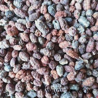 砂仁 进口砂仁米统货 产地 广东省佛山市高明区图4