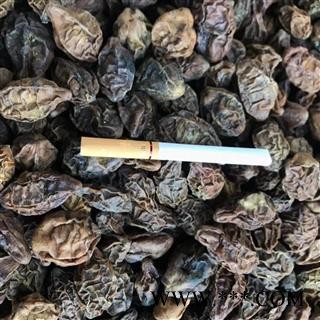 诃子 诃子统个 产地 云南省临沧市云县图2