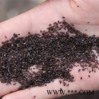 车前子 车前子净货 无掺假 产地 四川省 道地药材 发货快 支持小包装拿样 7天无理由退货图2