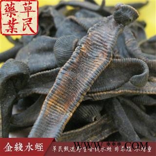 草民甄选金线水蛭 清水吊干货 非养殖 不增重 专业批发量大从优图3