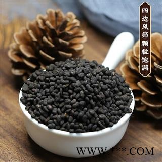 补骨脂 补骨脂饱满统货 产地 广西省 道地药材 发货快 支持小包装拿样 7天无理由退货图3