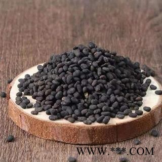 【新货精选】秦岭野生补骨脂 手工采捋日晒无硫500g图3