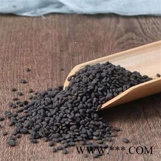 【新货精选】秦岭野生补骨脂 手工采捋日晒无硫500g图2