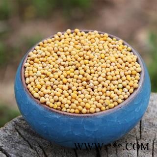 白芥子 秦岭白芥籽辣菜子白介子芥菜子 另有炒白芥子 山民自捋 日晒无硫 500g另有莱菔子苏子图4