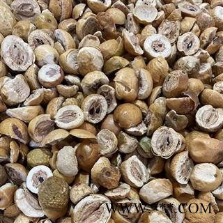 川楝子 川楝子统货 产地 山东省图2