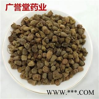 覆盆子 覆盆子统货 浙江 产地 浙江省图2