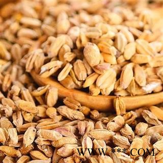 秦岭农家优质浮小麦 农户自种 手工簸净 日晒500g图2