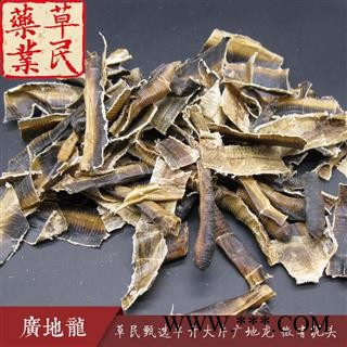 草民甄选半开地龙 大片广地龙 微有泥头 专业批发量大从优图2