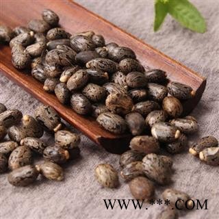 蓖麻子 秦岭优质正品日晒无硫1000g【打折已结束】图3