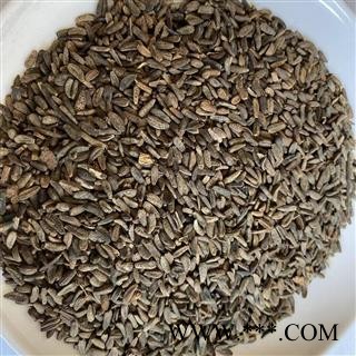 牵牛子 牛子 大力子 牛蒡子 产地 甘肃省 道地药材 发货快 支持小包装拿样 7天无理由退货
