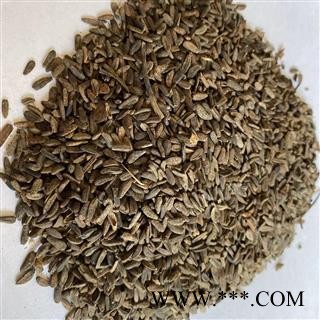 牵牛子 牛子 大力子 牛蒡子 产地 甘肃省 道地药材 发货快 支持小包装拿样 7天无理由退货图3