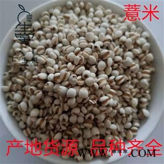 产地直销薏米 国产小粒薏苡仁 无硫磺 足干 无虫蛀 产地 贵州省